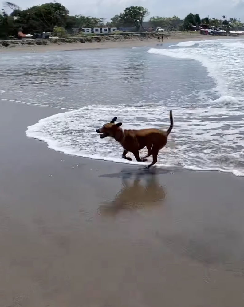 在海邊直接放飛自我了～