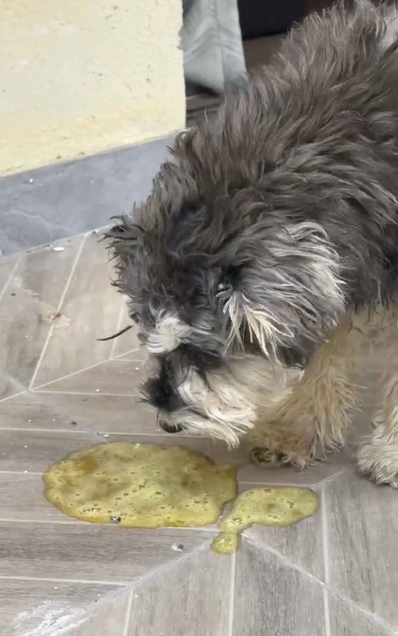 通常都是因為和飲食有關喔!