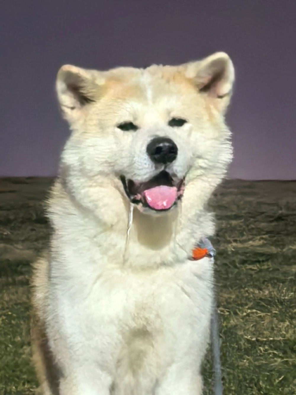 正常口水是沒有異味的。