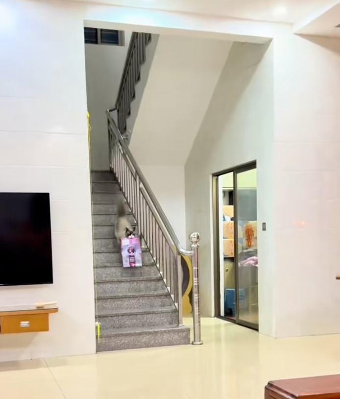 屁顛屁顛的跑過來了～