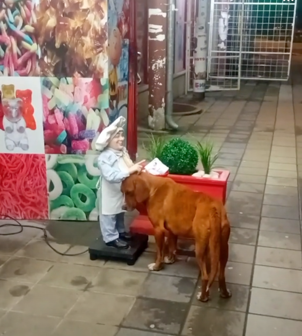 偷偷感受著從未有過的溫暖。