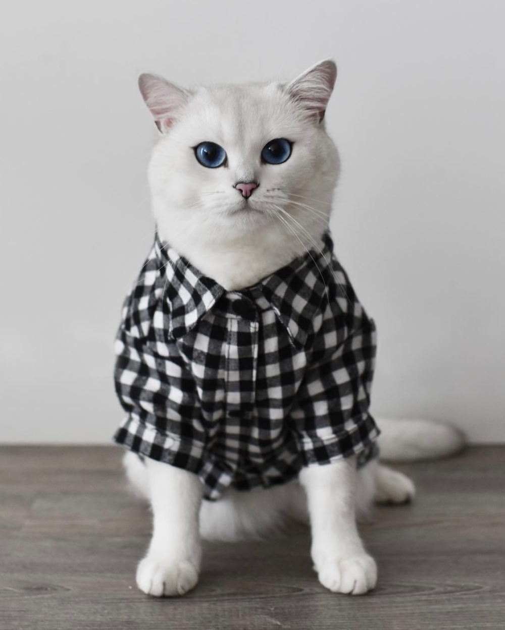 簡直就是行走的藝術品～