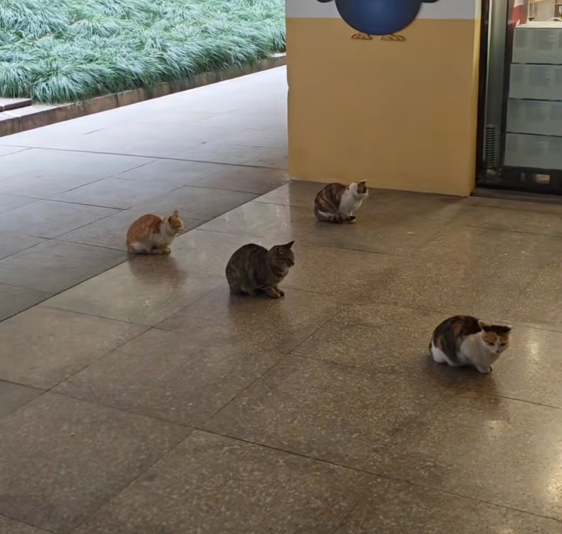 挨打後默默坐去旁邊～