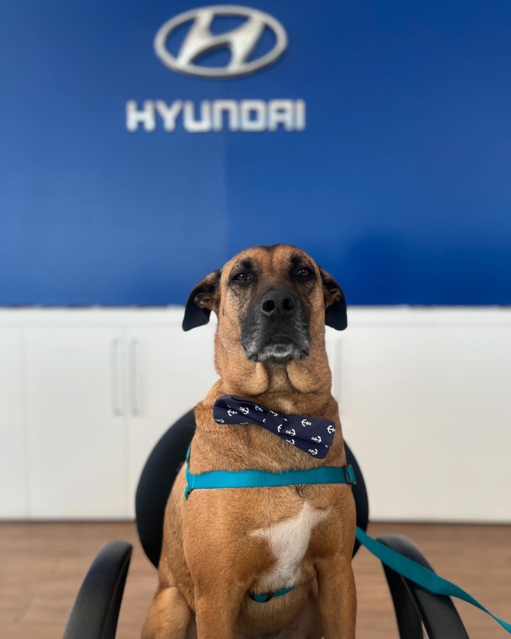 地表最強「銷售」！