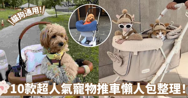 【寵物推車推薦】2025超人氣10款推車懶人包整理 價格、特點、類型一次看懂！