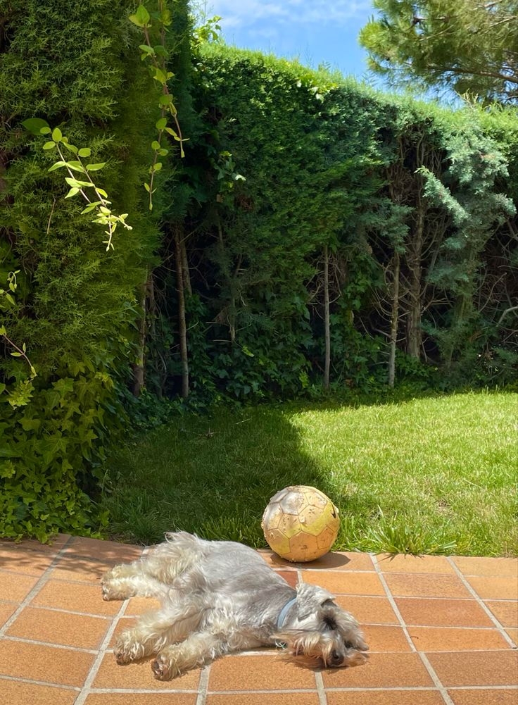 曬太陽雖好，但也需要注意時長與溫度喔～