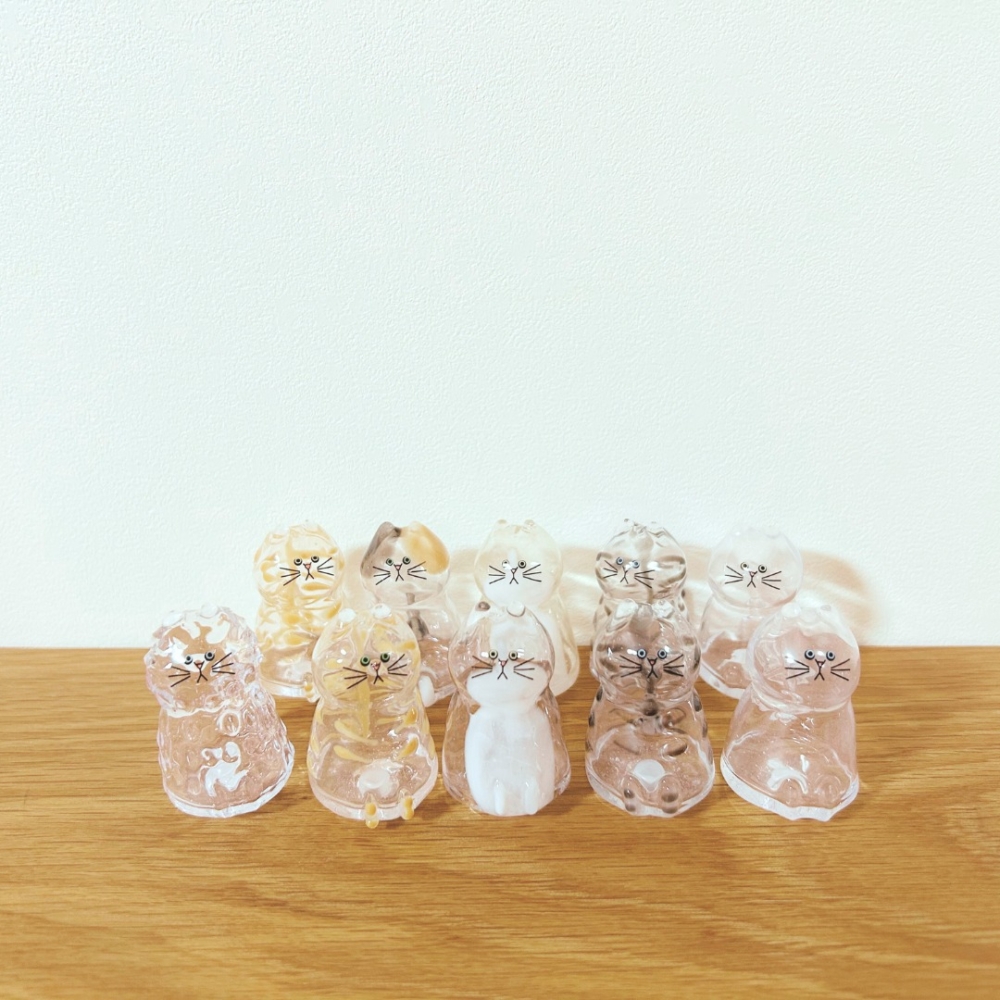 好可愛的罐罐～