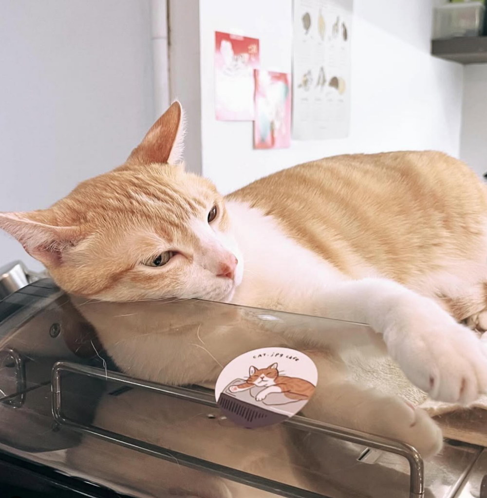 可以去找貝貝玩呢～