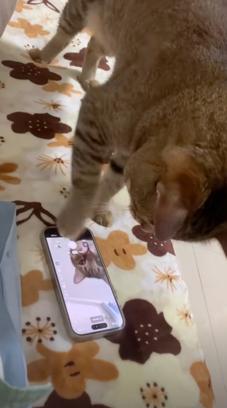 自己的自拍自己發～