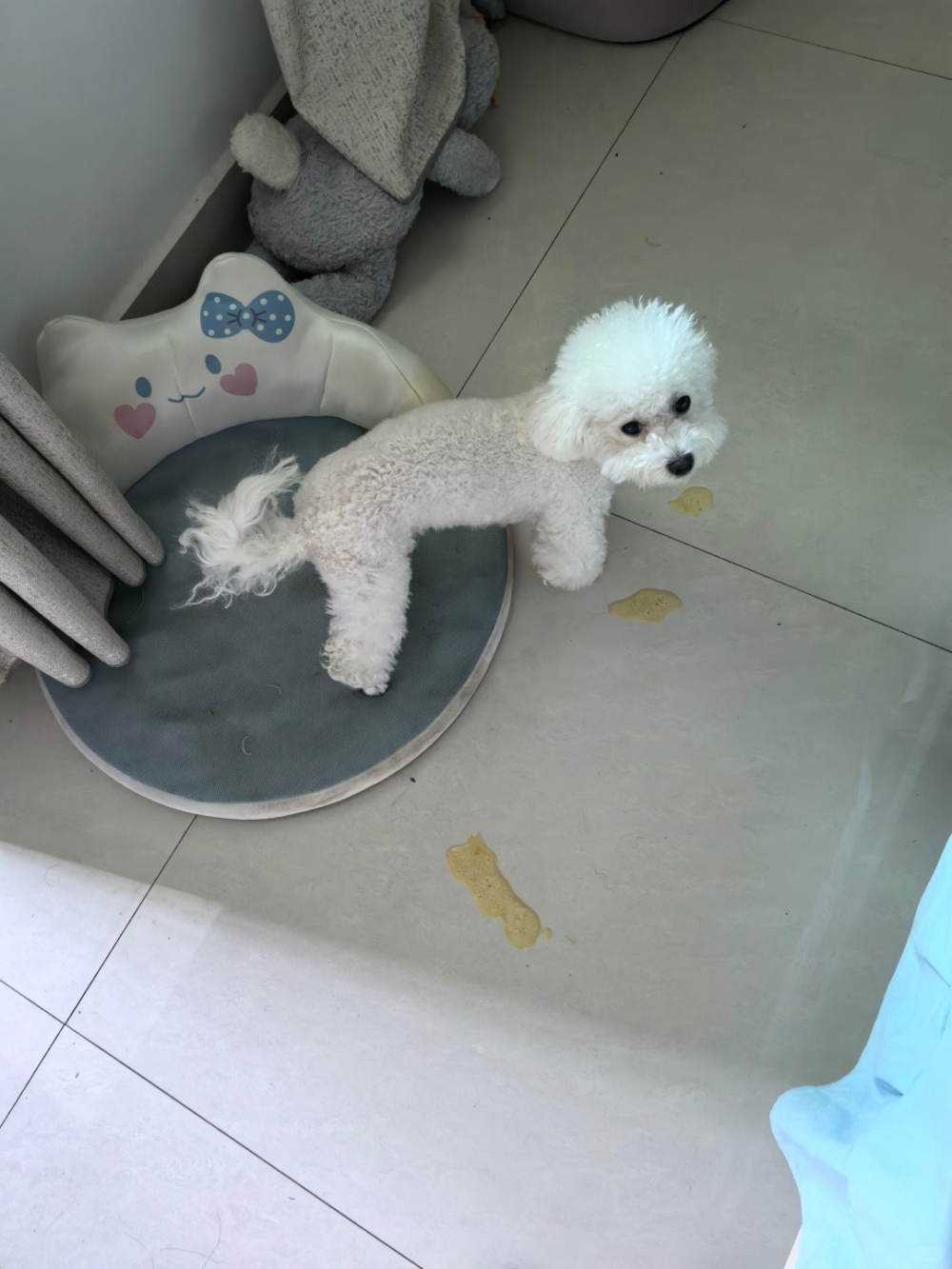 多餐少量能大大的減緩嘔吐。