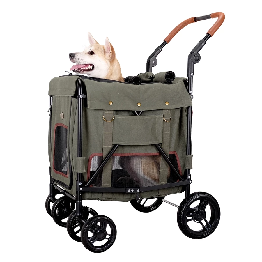 適合長身中型犬。