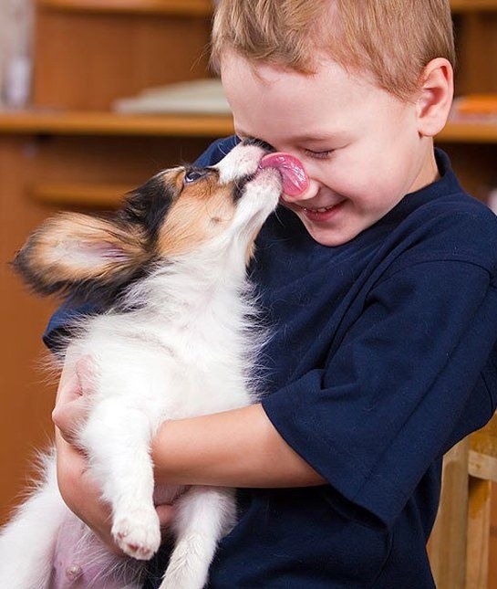 舔臉是親密和信賴的表現喔！