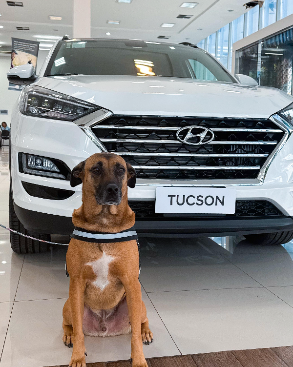 被收編進去「打工」了～