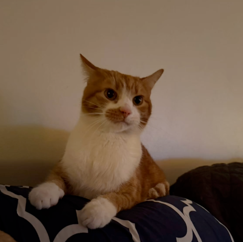 Trident突然大叫。