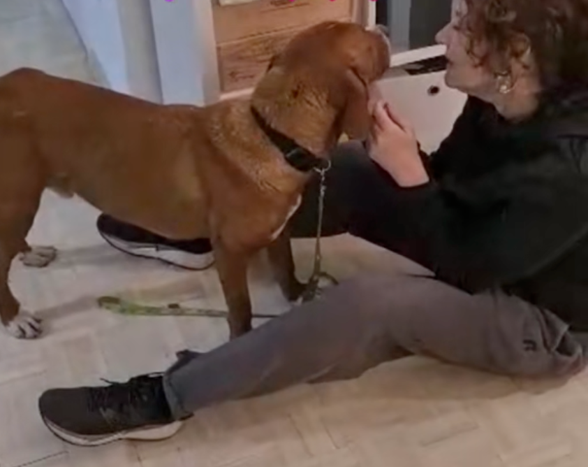 Hogar未來的日子要更幸福！