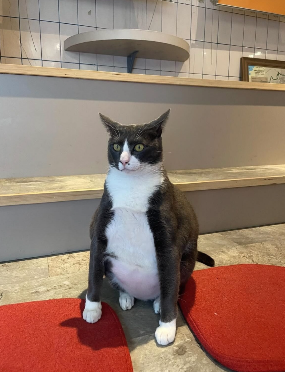 怎麼站得這麼直啦！