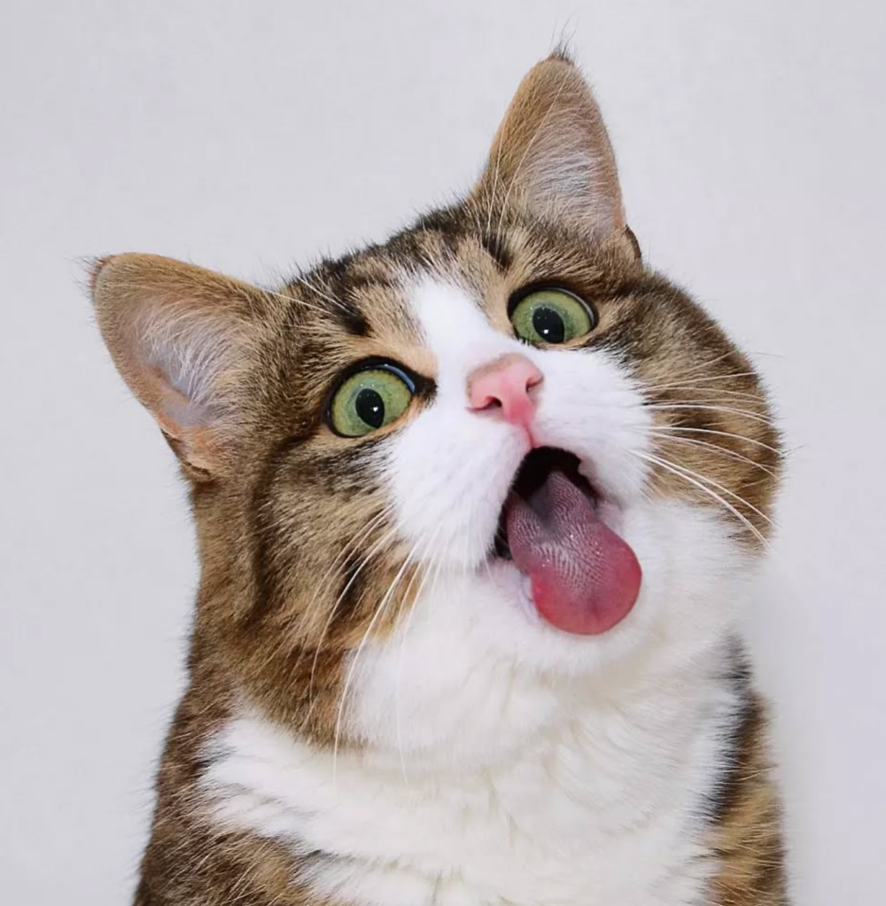 好可愛的表情！