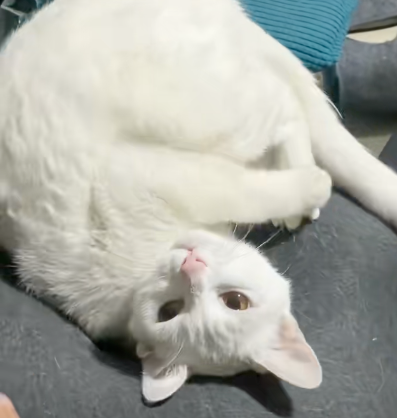 小奶音發出來像在說：幹嘛～