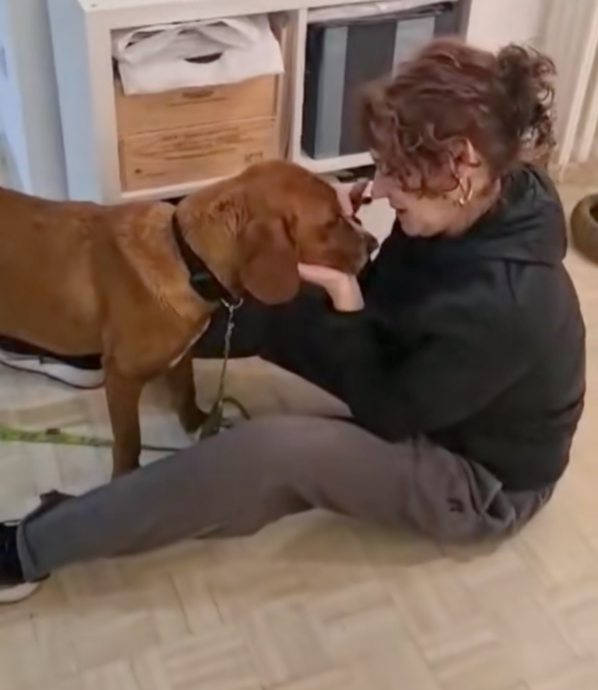 狗狗不用再偷偷「討摸」了。