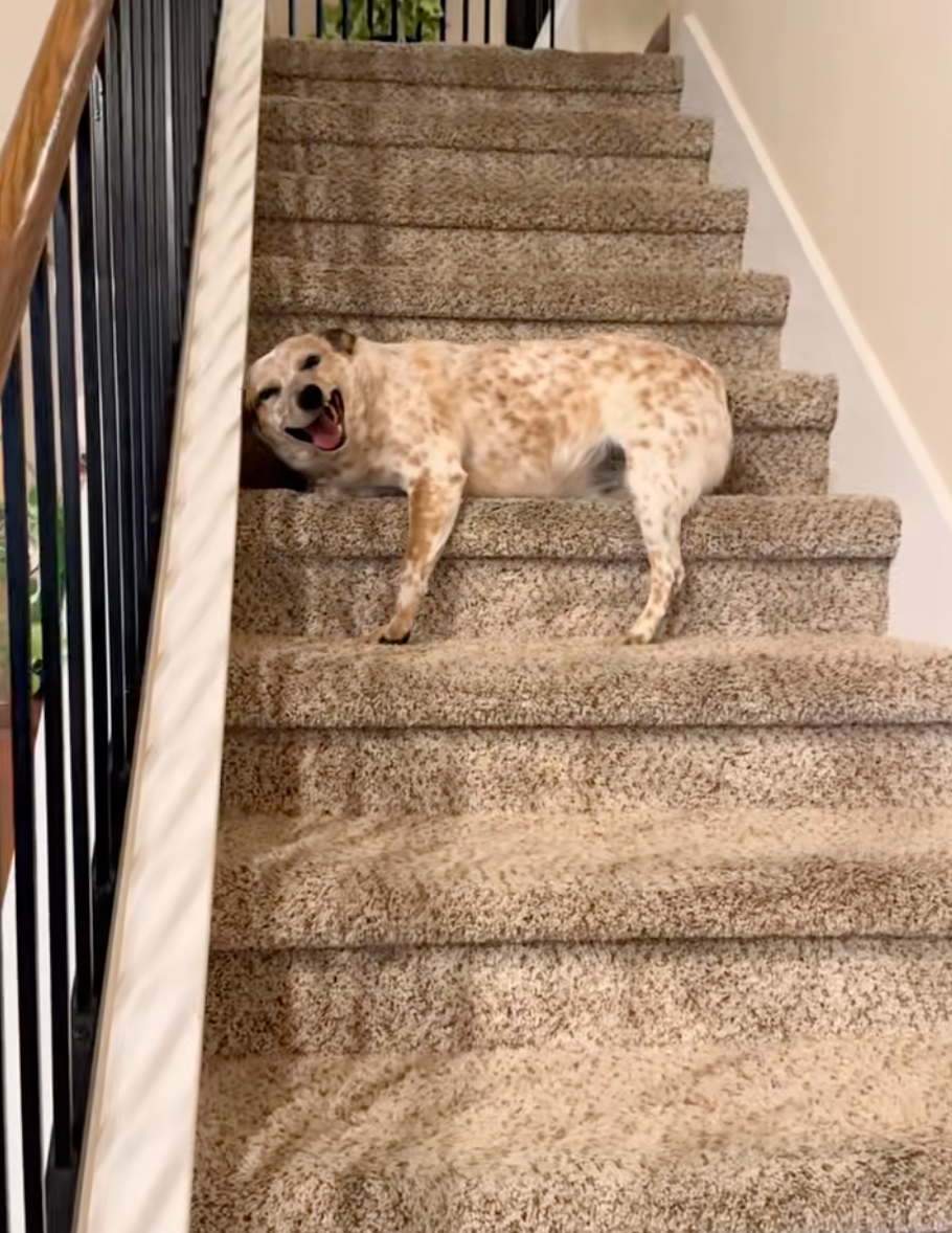 在樓梯也不忘搞怪！