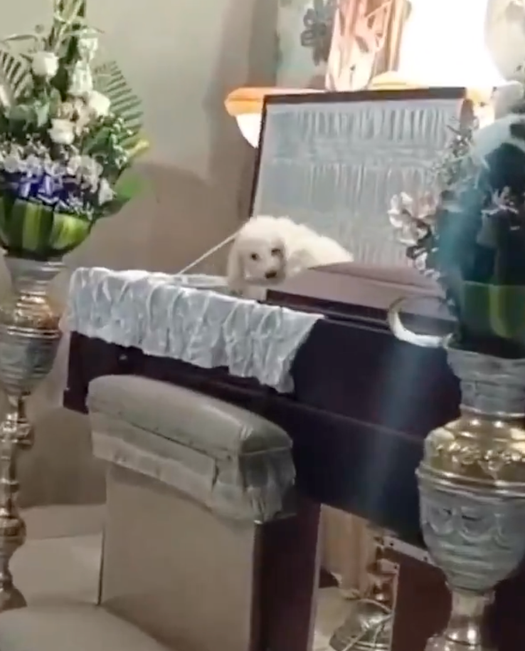 就讓我最後一次陪伴你吧！