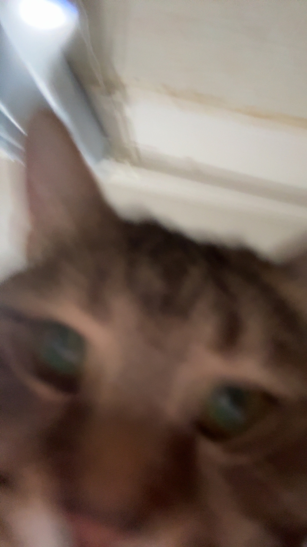 念念的自拍照～