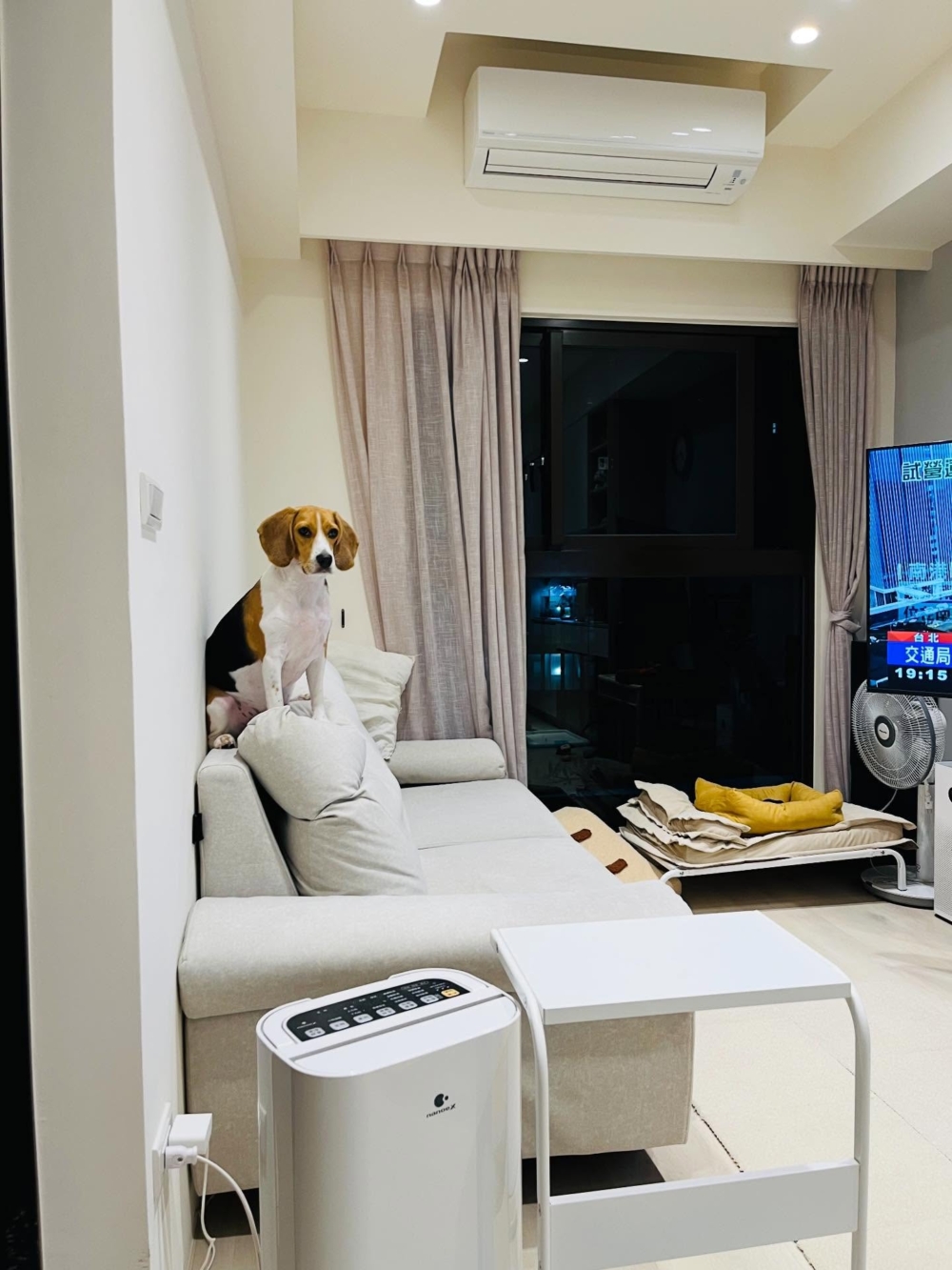 在這裡等「客人」。