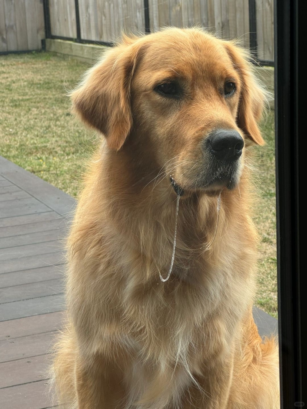 正常情況下的口水是無異味的喔！