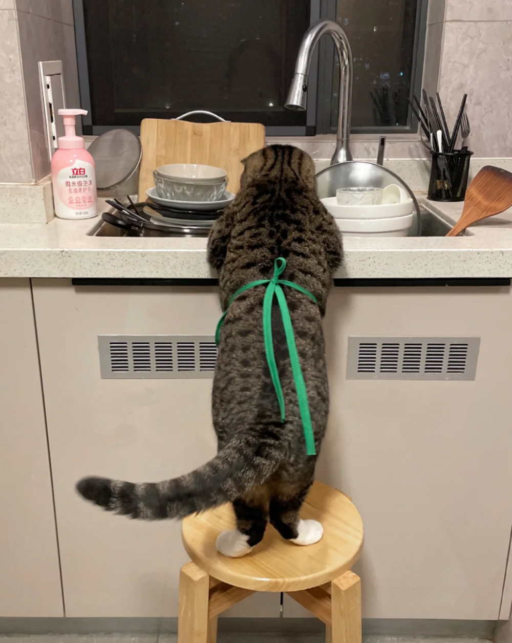 喵喵：還要什麼？我都會做！