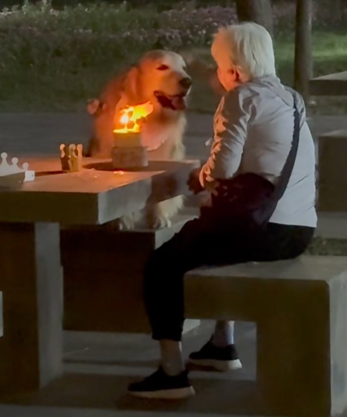 好溫馨的畫面～