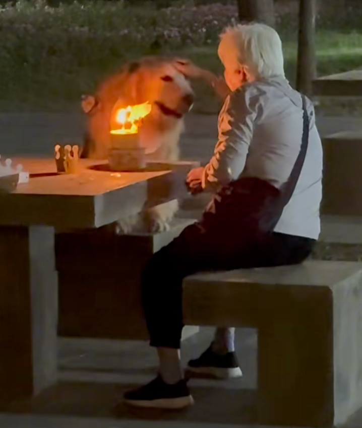 狗狗：我的願望是年年生日都有奶奶！