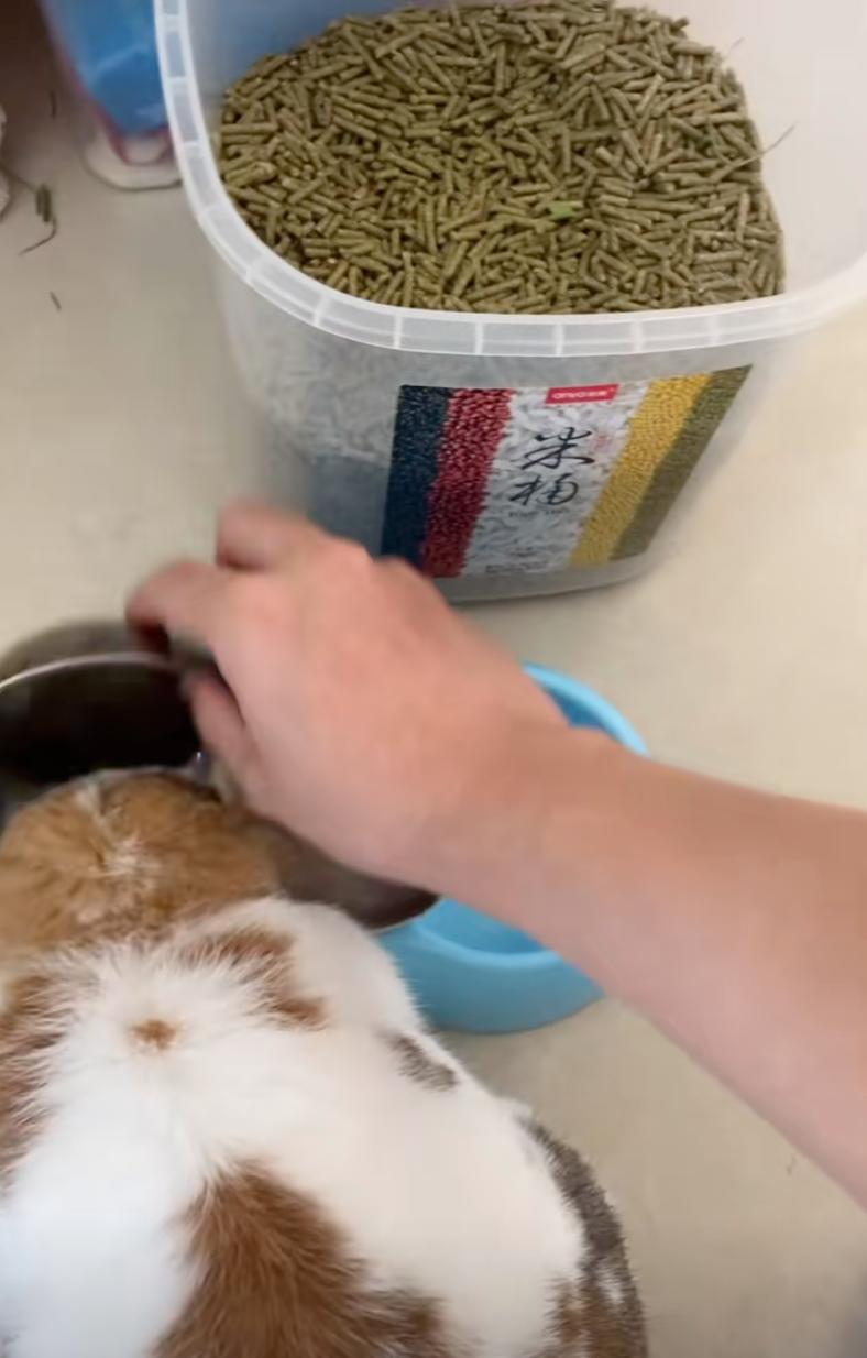 「封印」！不給你吃！