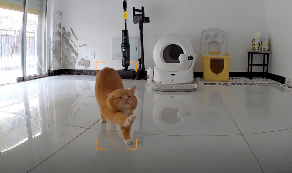 伸了個懶腰好蘇胡～