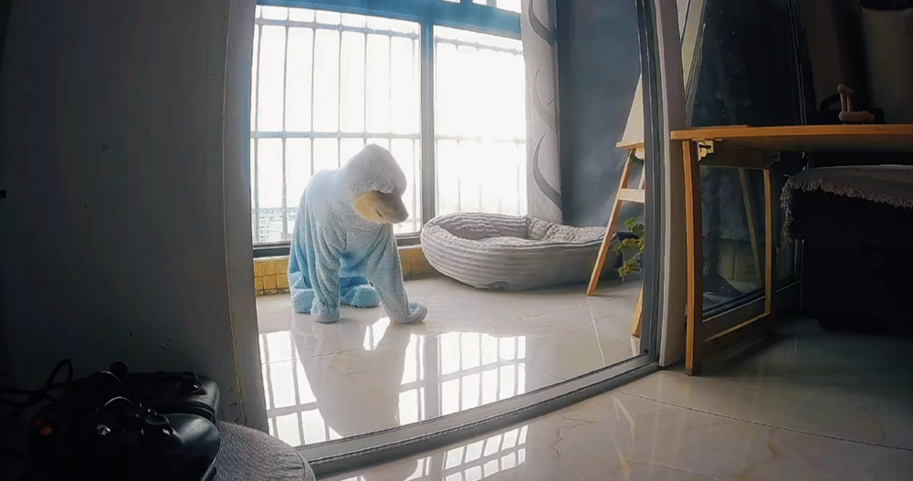 這就是行走的毛巾卷？