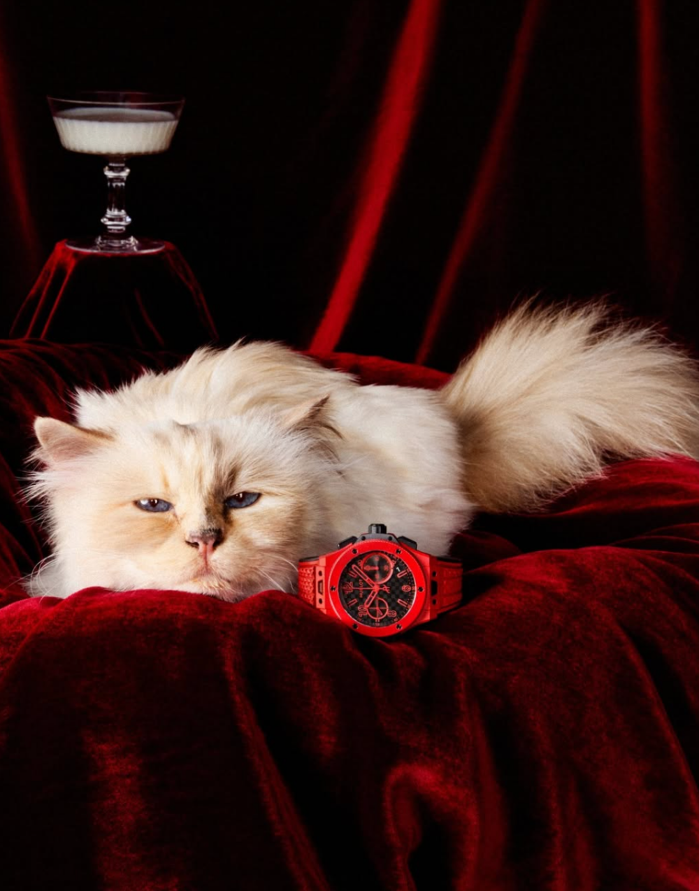 自己的罐罐自己賺！