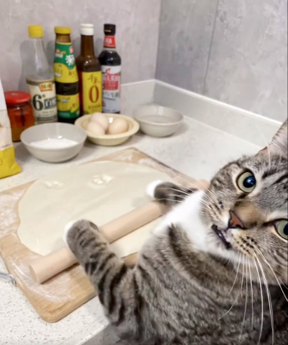 喵喵：你好～客官今天要點什麼？