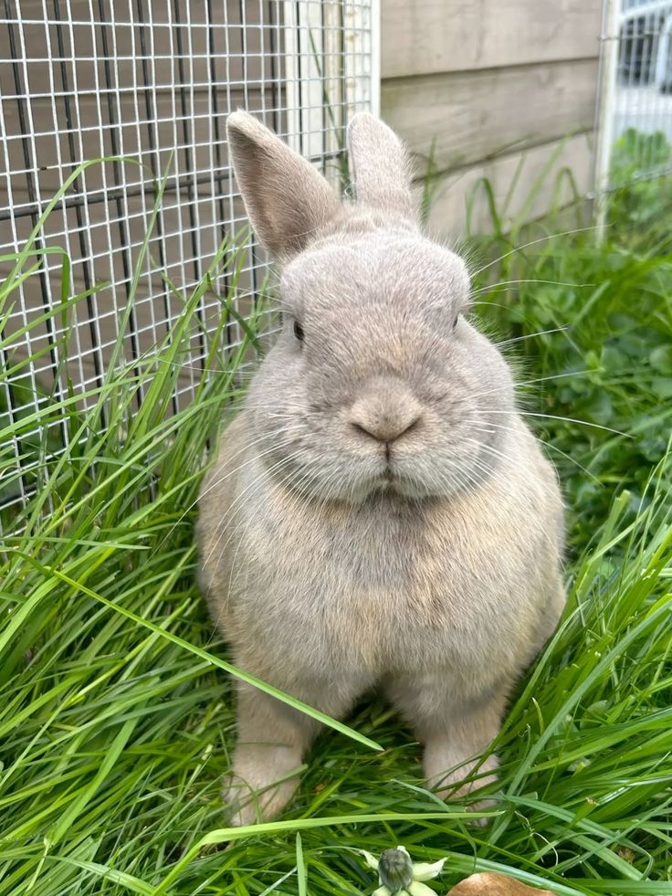 飲食也很重要喔！