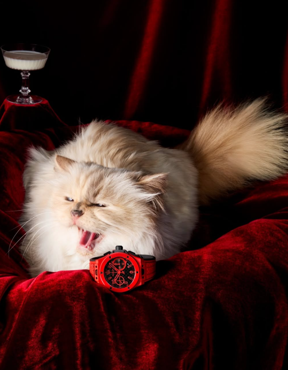 貓咪：賺錢？easy啦～