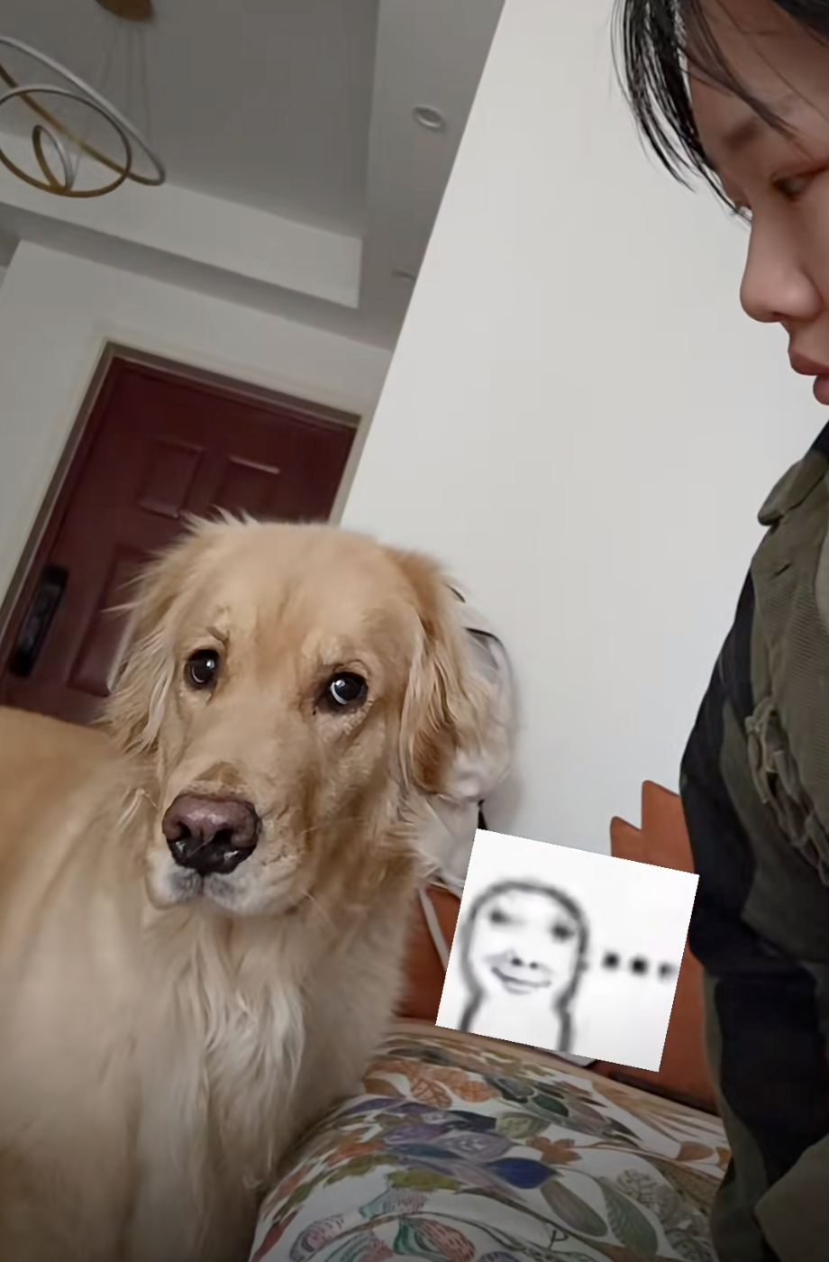 狗狗：怎麼還在看！