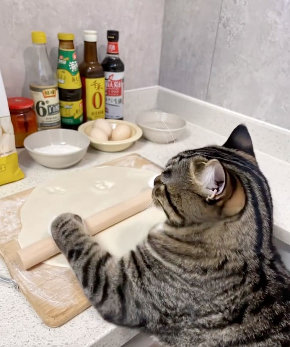 網：老闆，來一份不要毛的有沒有？