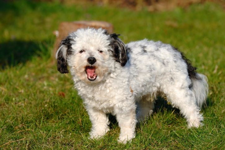 記得不要使用暴力解決問題喔！