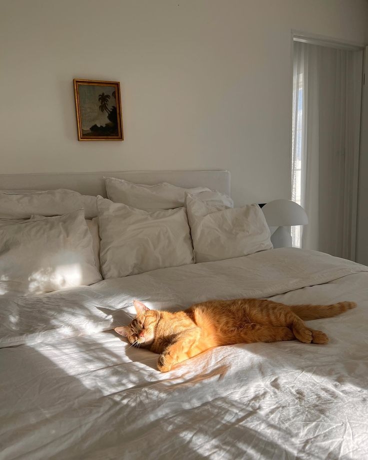 這些都是可以預防的。