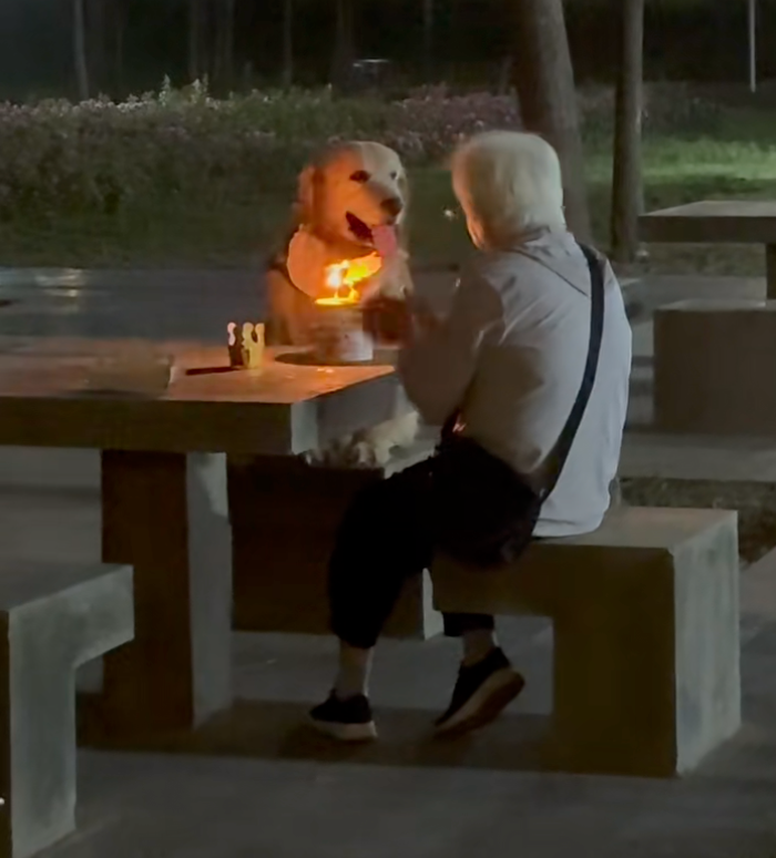 狗狗眼裡全是奶奶啊～