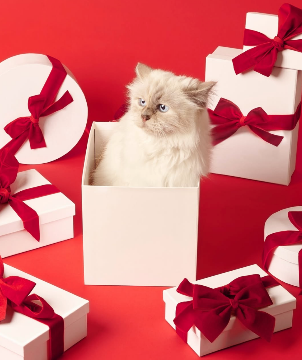 人家靠的是實力喔！