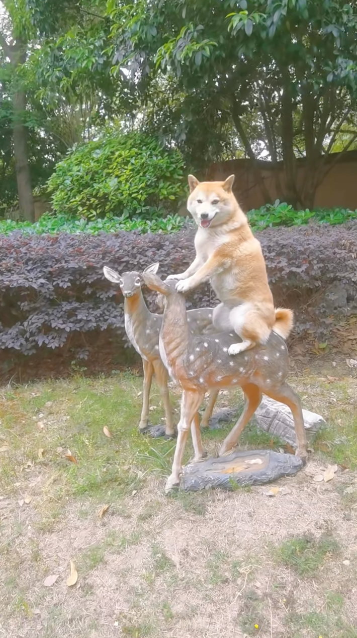 讓你坐個夠囉～