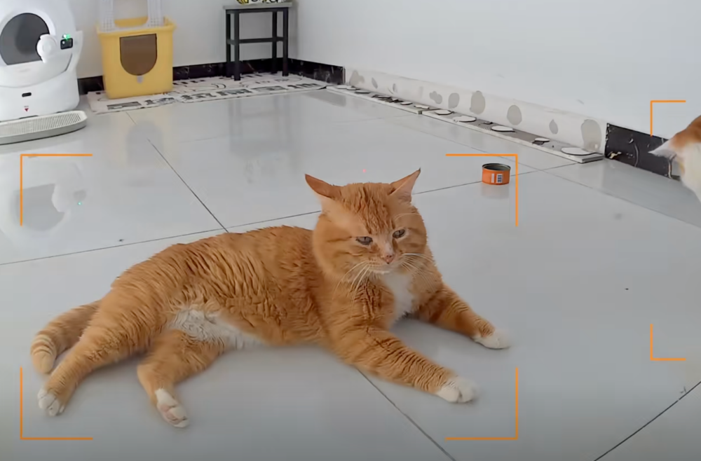 又換個地方躺囉～