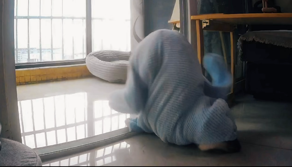 噗～變成海豹了啦