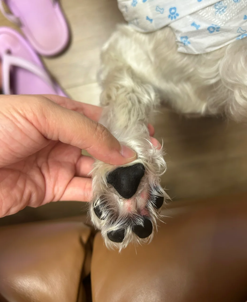 情況嚴重記得要及時就醫！