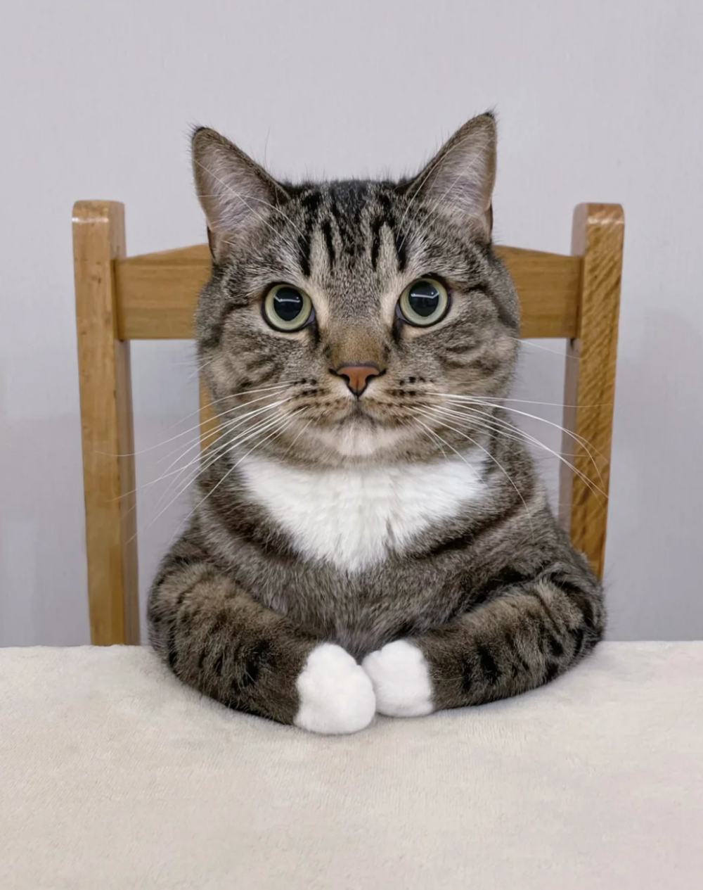 喵喵：人家有帶手頭喔～