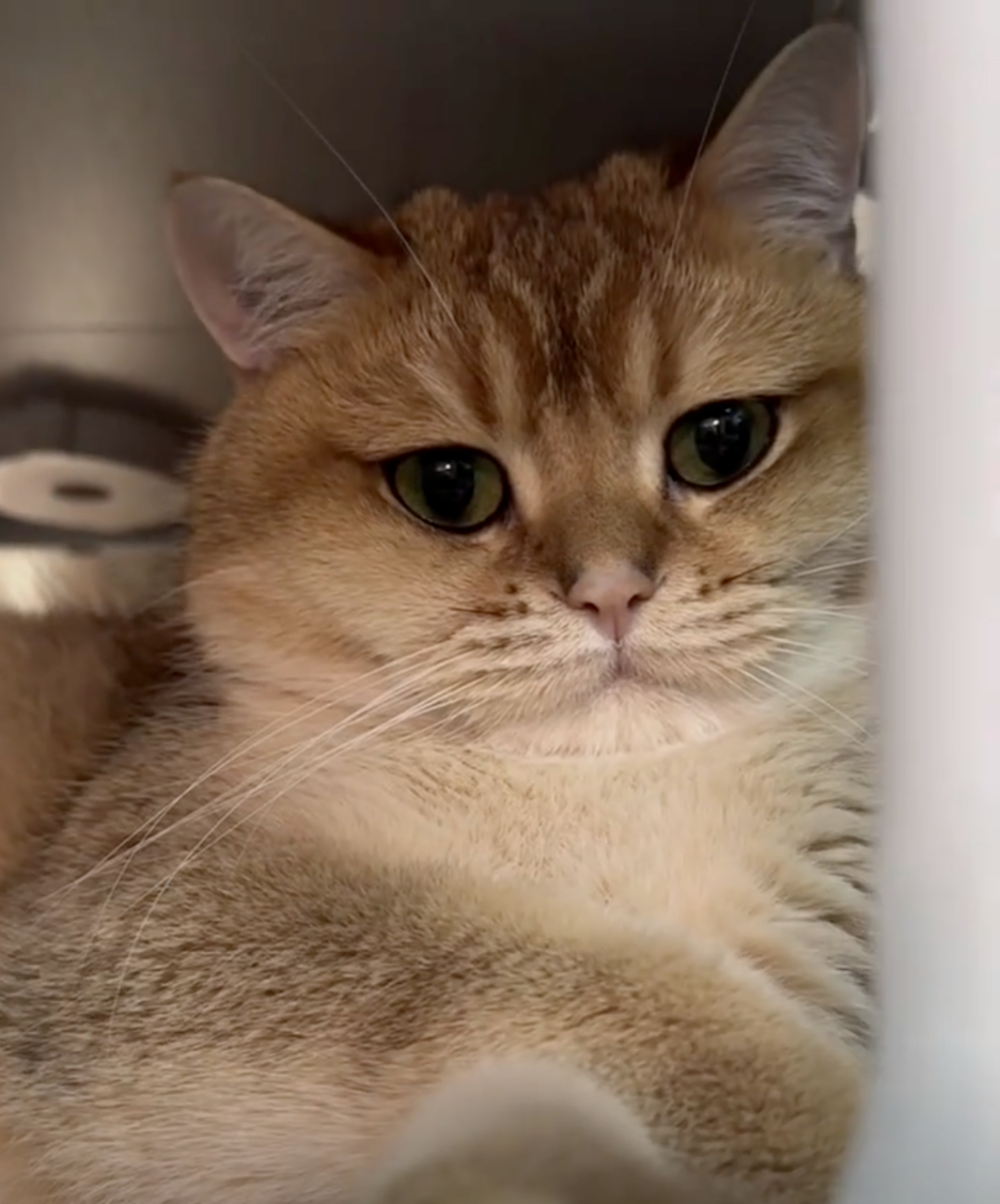 人家跟你不熟啦～